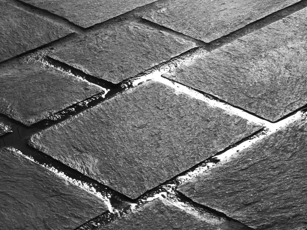 3 Fotostaffette 3 2023 08 27 01 3platz Joya